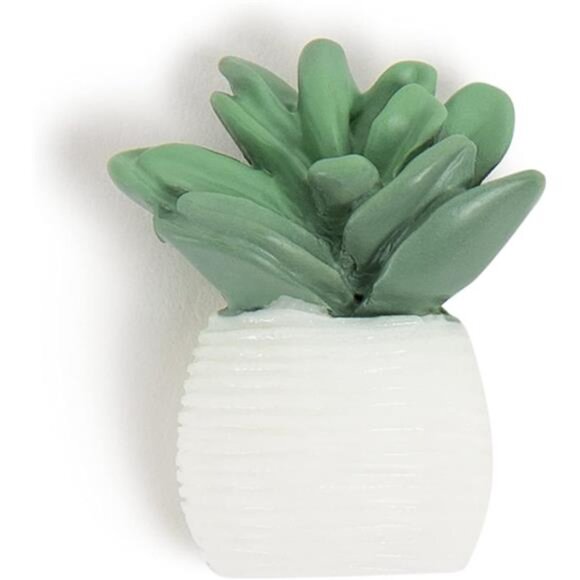 U Brands Succulent Push Pins Set, Office Supplies, Three Assorted Style, 9 Count - Picture 5 of 7